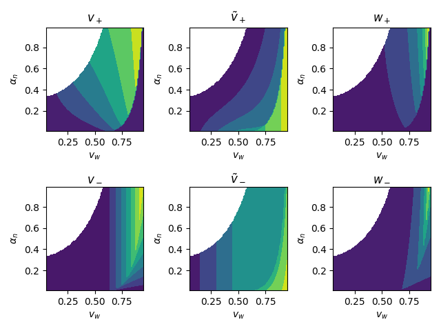$v_+$, $\tilde{v}_+$, $w_+$, $v_-$, $\tilde{v}_-$, $w_-$